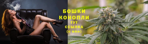 мяу мяу мука Ельня
