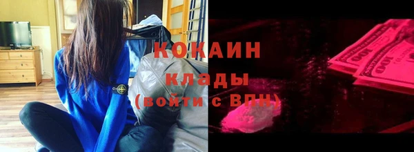 сатива Елизово