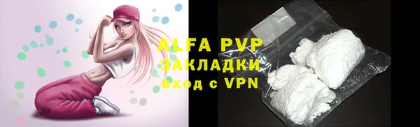 сатива Елизово