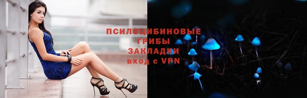 сатива Елизово