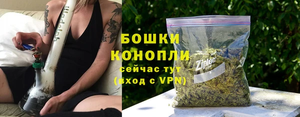 сатива Елизово