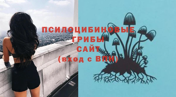 сатива Елизово