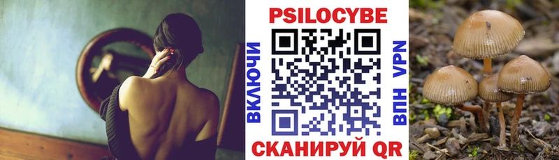 Купить где  Шелехов  Галлюциногенные грибы мухоморы 